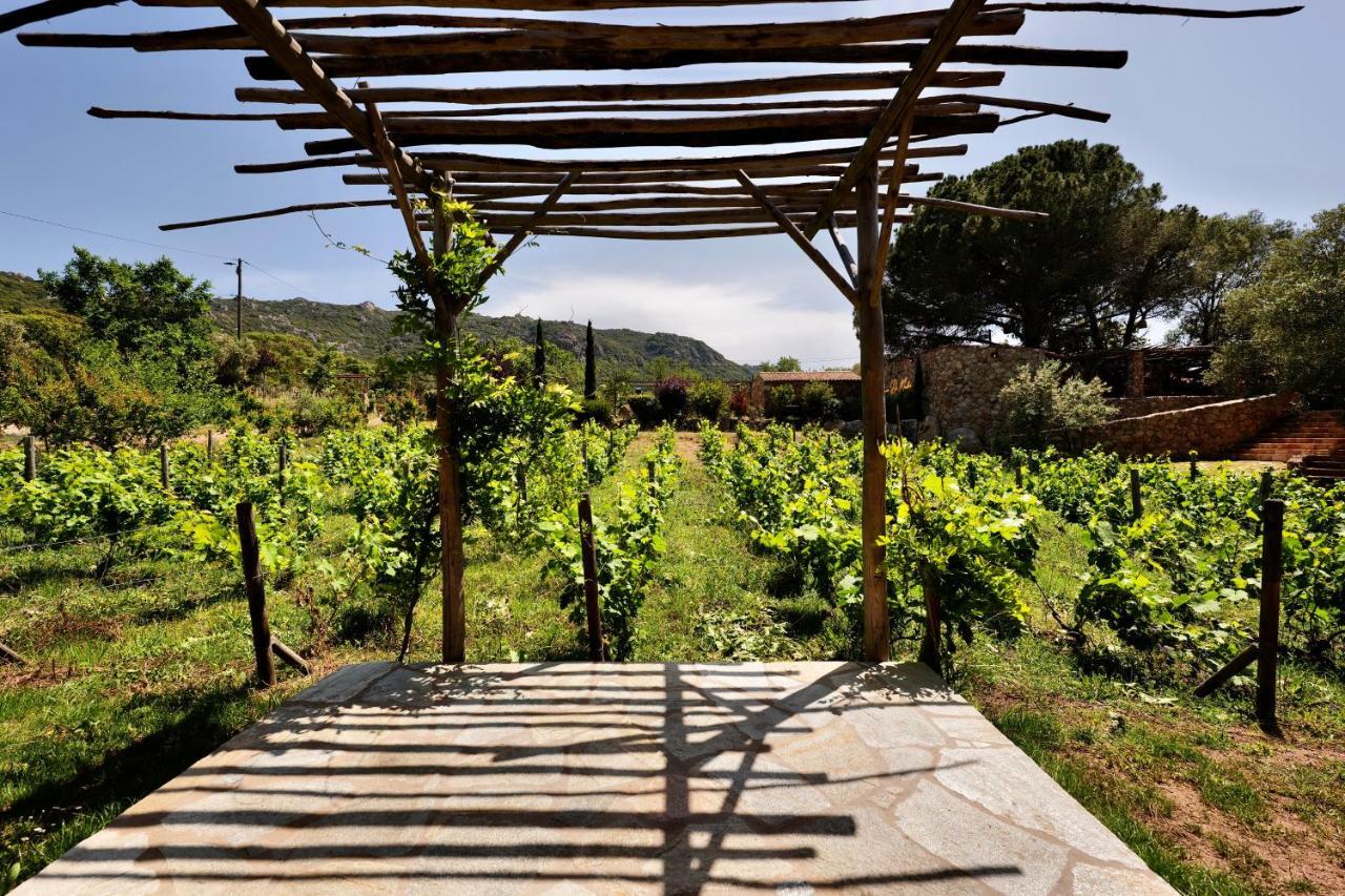 Domaine Pozzo Di Mastri Hotel & Spa فيغاري المظهر الخارجي الصورة