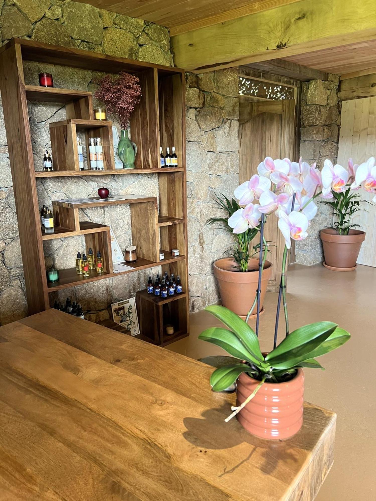 Domaine Pozzo Di Mastri Hotel & Spa فيغاري المظهر الخارجي الصورة