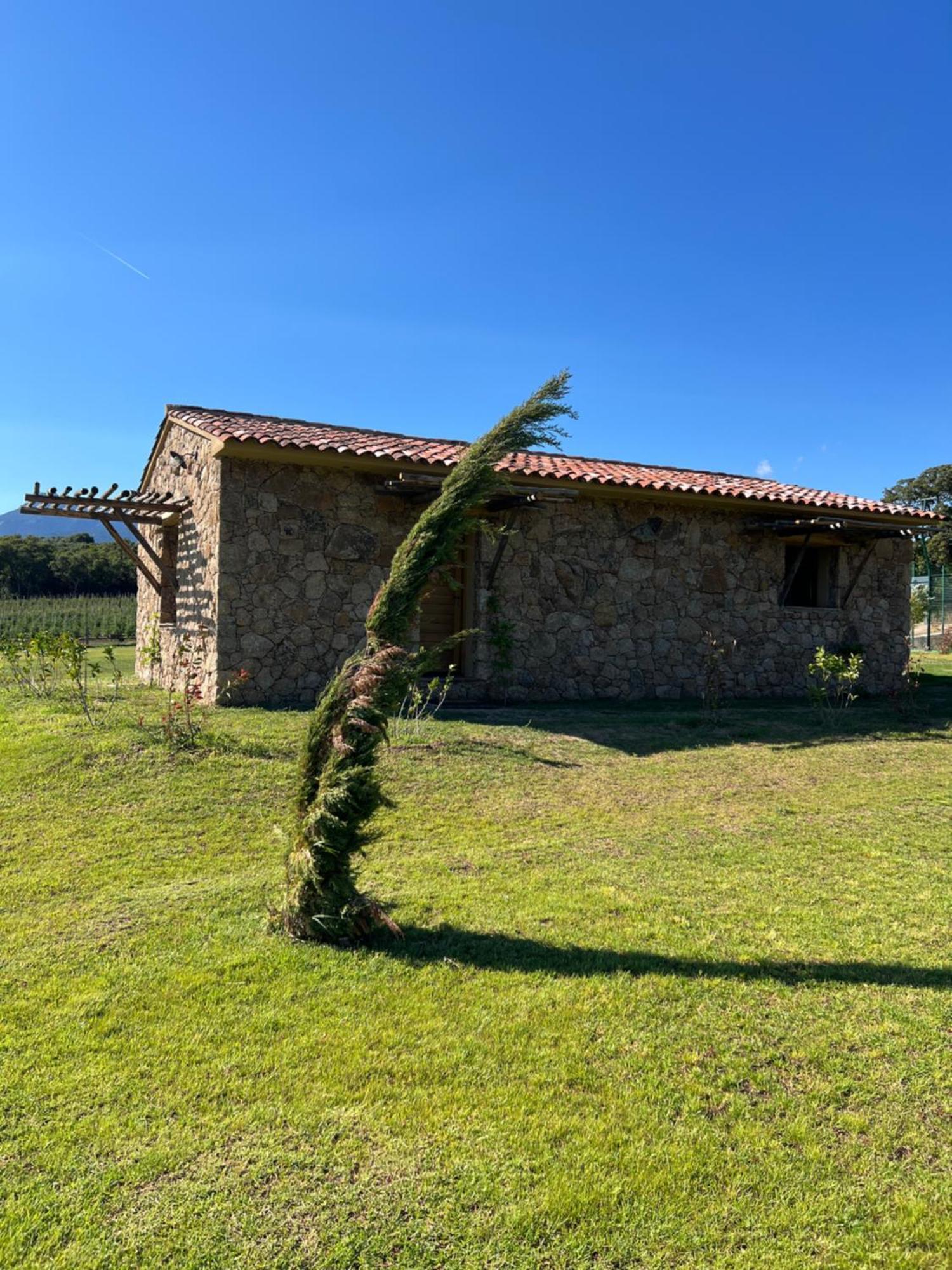 Domaine Pozzo Di Mastri Hotel & Spa فيغاري المظهر الخارجي الصورة